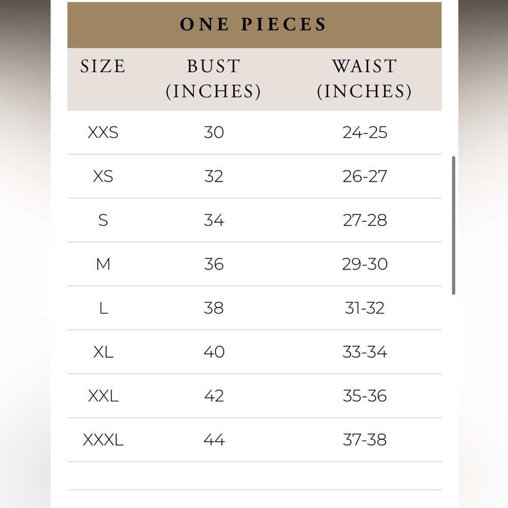 Albion Rica One-Piece Full Coverage Swimsuit In Steel Blue Size Women’s XL - Picture 15 of 15